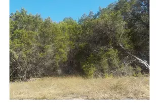 1609 Paradise Pkwy, Canyon Lake, TX 78133 - Photo 50