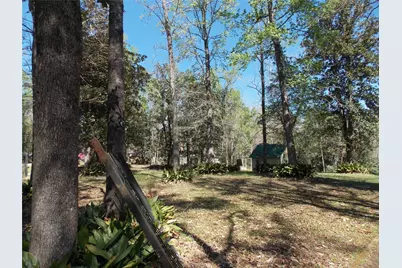 412 Driftwood Drive, Goodrich, TX 77335 - Photo 10