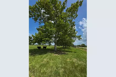 Tract 2 Foster School Road, Needville, TX 77461 - Photo 20