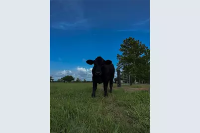 Tract 2 Foster School Road, Needville, TX 77461 - Photo 18