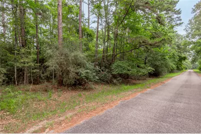 389 Live Oak Drive, Trinity, TX 75862 - Photo 1