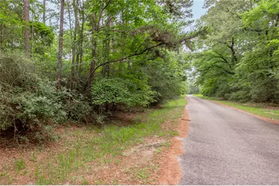 389 Live Oak Drive, Trinity, TX 75862 - Photo 4