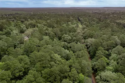 389 Live Oak Drive, Trinity, TX 75862 - Photo 12