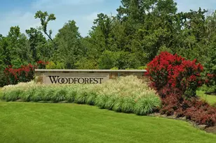 368 Mallorn Ln, Montgomery, TX 77316 - Photo 46