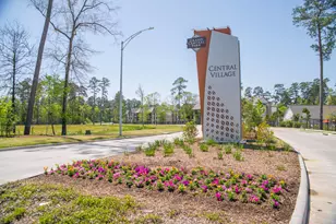 209 Trillium Park Loop, Conroe, TX 77304 - Photo 48