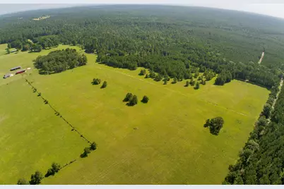 224 James King Road, Zavalla, TX 75980 - Photo 48