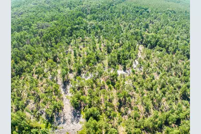 224 James King Road, Zavalla, TX 75980 - Photo 44