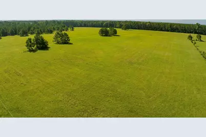 224 James King Road, Zavalla, TX 75980 - Photo 40