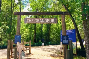 115 Sierra Strm Ct, Conroe, TX 77304 - Photo 24