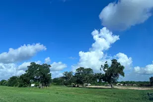 8214 TX-35, Angleton, TX 77515 - Photo 6