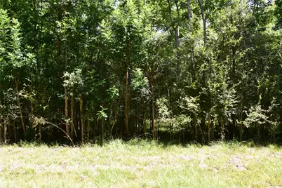 0 Colony Drive, Angleton, TX 77515 - Photo 8