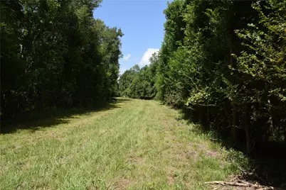 0 Colony Drive, Angleton, TX 77515 - Photo 12