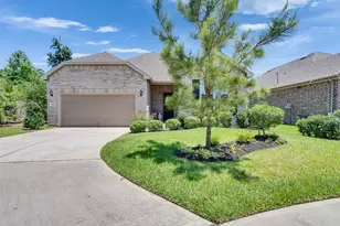223 Spotted Saddle Ct Ct, The Woodlands, TX 77382 - Photo 2