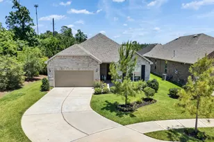 223 Spotted Saddle Ct Ct, The Woodlands, TX 77382 - Photo 1