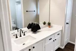 10923 Hickory Tree Ct, Houston, TX 77065 - Photo 24