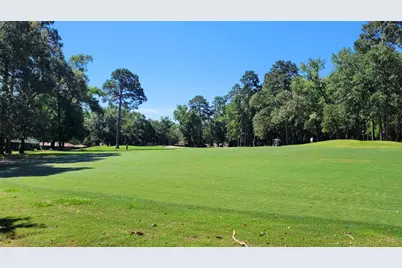 24 Greentree Lane, Conroe, TX 77304 - Photo 12