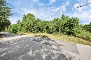 0 Peach St, Conroe, TX 77304 - Photo 4