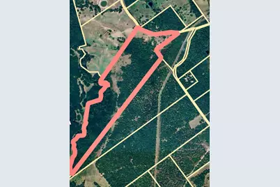 Tbd Cr4120, Lovelady, TX 75851 - Photo 1