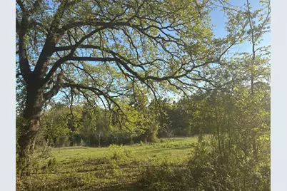 Tbd Cr4120, Lovelady, TX 75851 - Photo 4