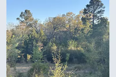 Tbd Cr4120, Lovelady, TX 75851 - Photo 12