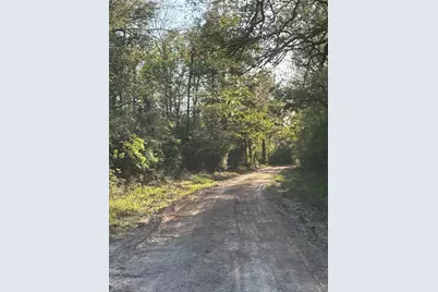 Tbd Cr4120, Lovelady, TX 75851 - Photo 2