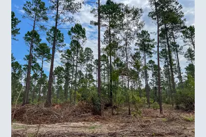 33 Boontown Road, Groveton, TX 75845 - Photo 2