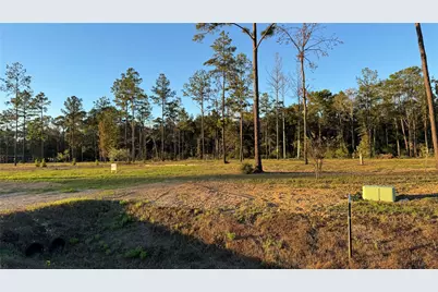 20039 Kincaid Drive, Conroe, TX 77306 - Photo 6