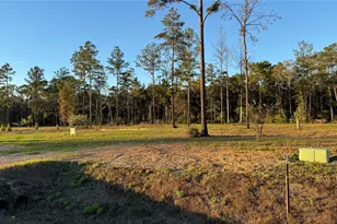 20039 Kincaid Dr, Conroe, TX 77306 - Photo 6