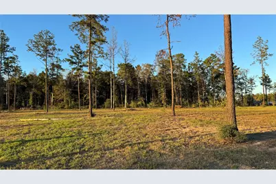 20039 Kincaid Drive, Conroe, TX 77306 - Photo 8