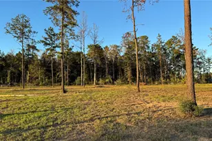 20039 Kincaid Dr, Conroe, TX 77306 - Photo 8