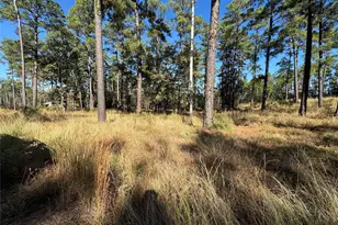 063 Private Road 6026, Brookeland, TX 75931 - Photo 4