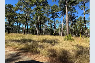 063 Private Road 6026, Brookeland, TX 75931 - Photo 1