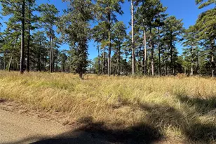 063 Private Road 6026, Brookeland, TX 75931 - Photo 6