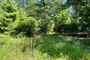 31018 Green Tree Rd, Magnolia, TX 77354 - Photo 24