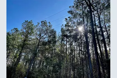 6 +/- Acs Cr 3400, Colmesneil, TX 75938 - Photo 1