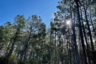 6 +/- Acs Cr 3400, Colmesneil, TX 75938 - Photo 1