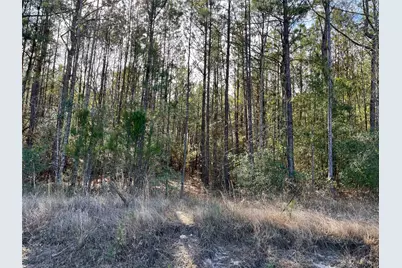 6 +/- Acs Cr 3400, Colmesneil, TX 75938 - Photo 4