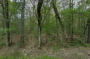 1555 Cherokee St, Vidor, TX 77662 - Photo 1