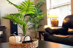 5710 Aubrey Oaks Ct, Missouri City, TX 77459 - Photo 8