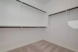 316 N Spotted Fern Dr, Montgomery, TX 77316 - Photo 34