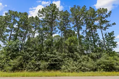 19263 Purus Drive, Porter, TX 77365 - Photo 4