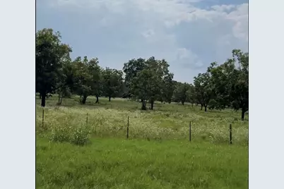 Tract #4 Fm 2548, Midway, TX 75852 - Photo 4