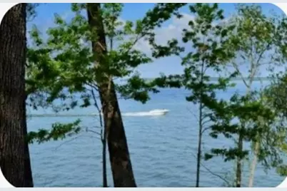 Tr 29 Oak Pine Drive, Livingston, TX 77351 - Photo 10