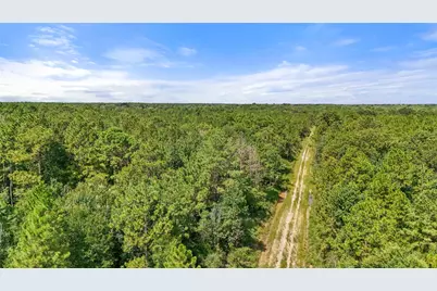 08 Old Beaumont Rd, Sour Lake, TX 77659 - Photo 6
