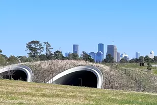 6306 Stillman St, Houston, TX 77007 - Photo 16