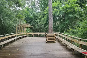 6306 Stillman St, Houston, TX 77007 - Photo 14