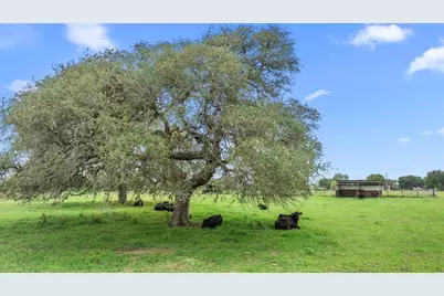 1342 Fm 2434, Weimar, TX 78962 - Photo 46
