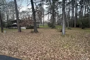 566 Gov Wood Dr, Point Blank, TX 77364 - Photo 10