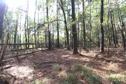 29633 Huffman Cleveland Road, Huffman, TX 77336 - Photo 28