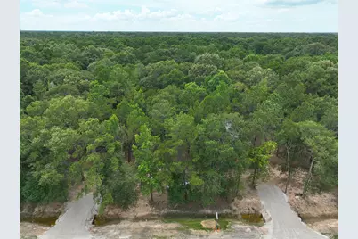 29633 Huffman Cleveland Road, Huffman, TX 77336 - Photo 2